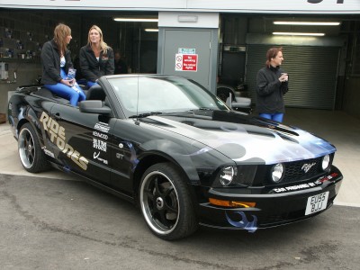 Mustang Modified: click to zoom picture.