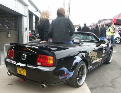 Mustang Rear: click to zoom picture.