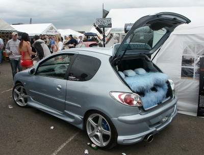 Peugeot 206: click to zoom picture.